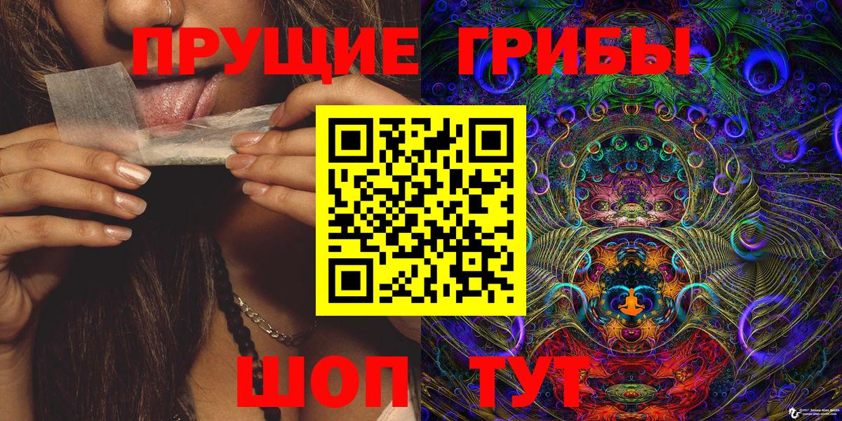 Галлюциногенные грибы Magic Shrooms  Вход с VPN  Псилоцибиновые грибы Magic Shrooms  Новошахтинск 